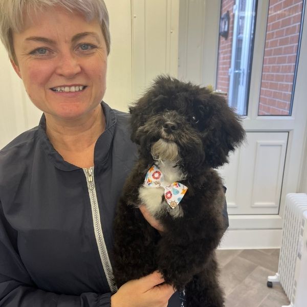 Puppy ready for their first groom at Shampoochon in Spennymoor